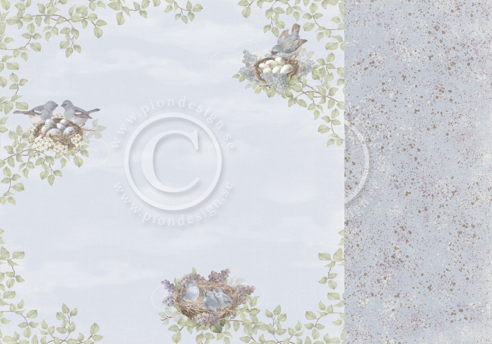 pion papier/new beginnings/Nesting Birds PD26003.jpg